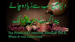 High Tea Production Countries in the World | Tea Production Top three Countries