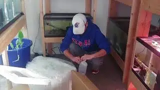 Распаковка диска Кенни!!!