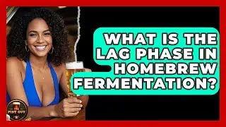 What Is The Lag Phase In Homebrew Fermentation? - The Pint Guy