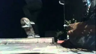 Box Sesh
