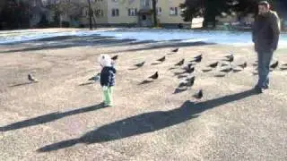 takie kr&oacute;tkie n&oacute;ski maja a tak sybko chodzom....