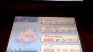top 5 Pokemon for competitive battling