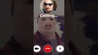 Now you are calling John pork...