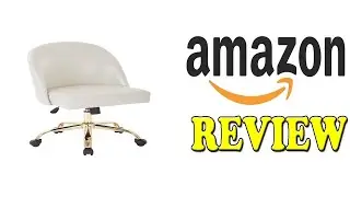 AVE Layton Back Office Chair Review