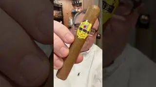Baccarat Rothschild Cigar Review | Smooth & Sweet Dominican Classic #shorts