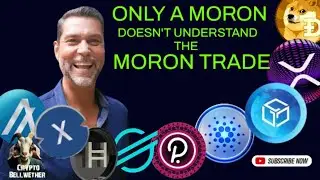 Raoul Pal Calls XRP, ADA, DOGE, XLM, HBAR, ALGO  - The 'Moron Trade' - XRP Influencers got it wrong!