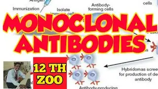 MONOCLONAL ANTIBODIES - TAMIL EXPLANATION