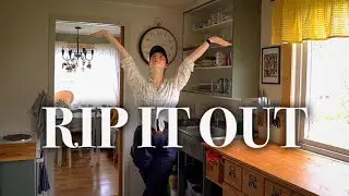 I'm renovating my kitchen... again.