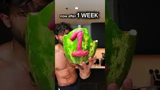 Watermelon everyday? #fasterwaytofatloss #health #healthy #tips #food #weightloss #fatloss