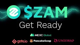 $ZAM Token Statistics