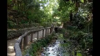 Strolling Down Fern Dell Trail at Griffith Park