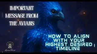 Important Avian Message for the Collective: Technique to Bring in Your Dream Reality