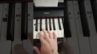 Jailer Theme #viral @sTyLisHPianoTutorial @thepianoguys