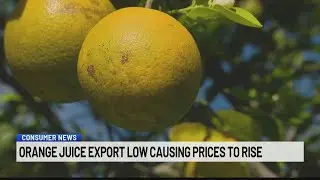 Consumer News: Orange juice export low