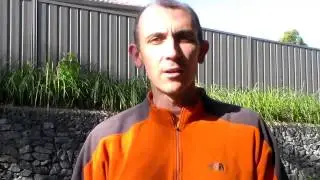 Igor Kheifets Solo Ad Service Review | Igor Kheifets Solo Ads