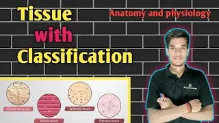 |Tissue and it's classification in hindi|Easy explanation with tricks|Epithelial tissue #nursing#bio