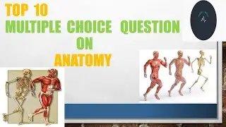 MCQ ON ANATOMY
