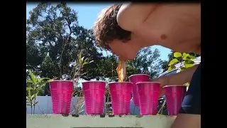 Water Milk Apple Juice Orange Juice Protien Mix Coffee Water Challenge 2026