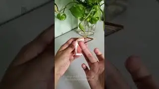 BLUSH ON ESQA