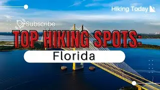Top Hiking Spots in Florida: YOUR 2024 Guide