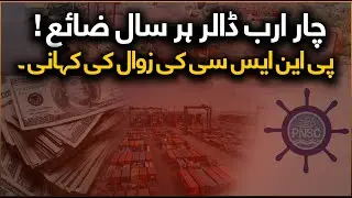Pakistan Has Seas & Ports - But No Ships | Billions Lost Every Year