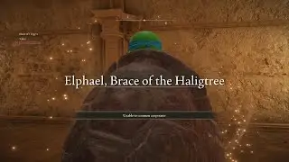 ELDEN RING - Ninja Turtle vs. Malenia