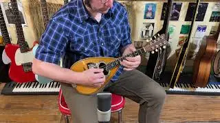 1900s Vega fancy bowlback mandolin