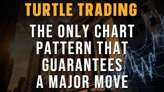 The Only Chart Pattern That Guarantees a Major Move | Turtle Trading