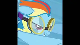 ✨Wonderbolt✨