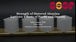 DOE NNSA SSGF 2025: Strength of Sintered Alumina Lattices: Effects of Purity and Density