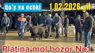 TOSHKENT VIl BUSTONLIQ CHORVA BOZOR QOY NARXLARI