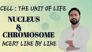 Nucleus and Chromosomes | Structure, Functions & NCERT Line by Line Explanation | Class 11 Biology&rdquo;