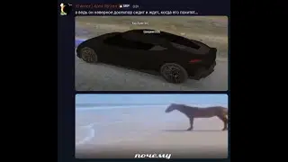один день из жизни рандом типа