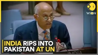 'Conducted Systematic Genocide': India Slams Pakistan For Its Delusional Trade Against India | WION