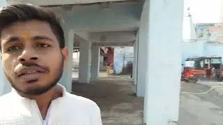 1000 चिड़िया का घर Mahadev temple me l  Birds 🐦 House Mahadev। #viral #trending #viralvideo #vlog 