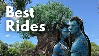 5 ЛУЧШИХ ПОЕЗДОК в Царстве животных 2022 года