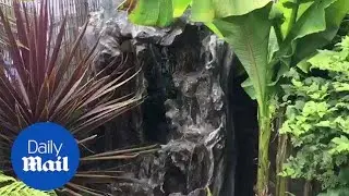 Garden enthusiast transforms his home into a Japanese haven - Daily Mail