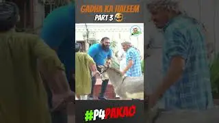 GADHA KA HALEEM part 3