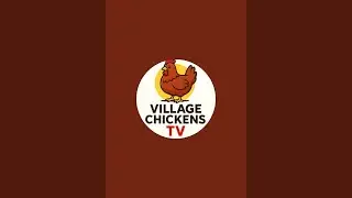 Poultry Farm Daily Routine