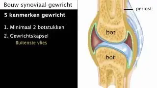 Botverbindingen