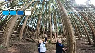 Bluestone Wales May 2024
