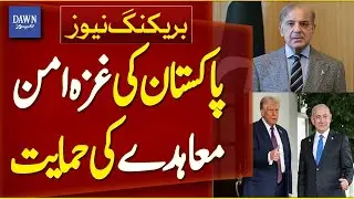 Pakistan&rsquo;s Support for the Gaza Peace Agreement | Breaking News | Dawn News