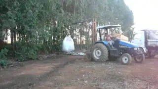MOV05579