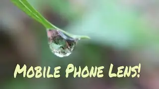 Universal Smartphone Camera Lens - The Backpackers Ltd