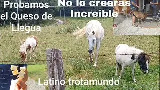 Probamos el Queso de llegua, Los pirineos  franceses y  españoles,  Cruzando la frontera de Francia