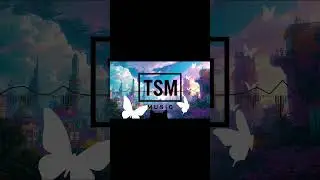 Brighter Path　　　TSM music | DancePOP | EDM | No Copyright Music |YouTube Shorts