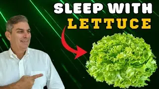 How Lettuce Can Naturally Improve Sleep And Reduce Anxiety