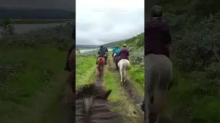 Enjoying A Day On Our Horse Riding Tour ! 🇮🇸🐴 #iceland #horses