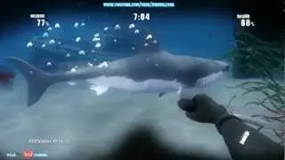 Shark Attack Deathmatch Survival Gameplay
