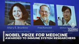 Nobel Prize for medicine awarded to immune system researchers